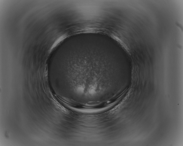 X0000095541450200712141514