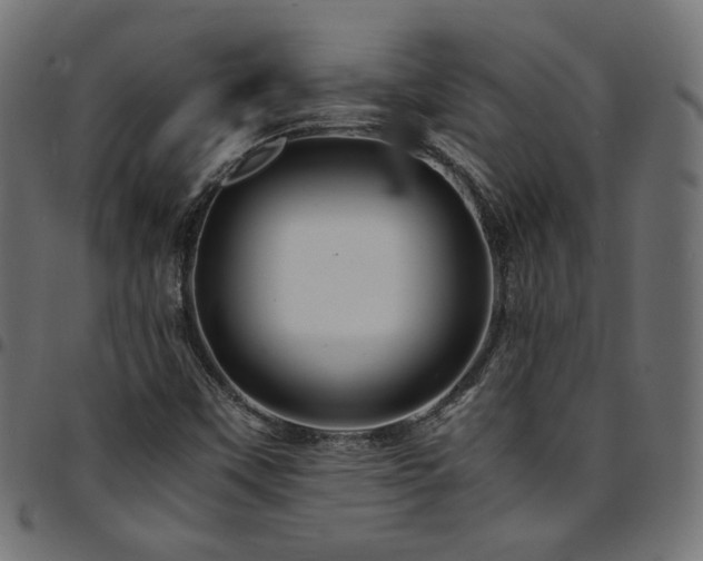X0000095541451200712141514