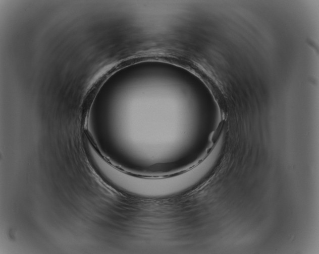 X0000095541452200712141514