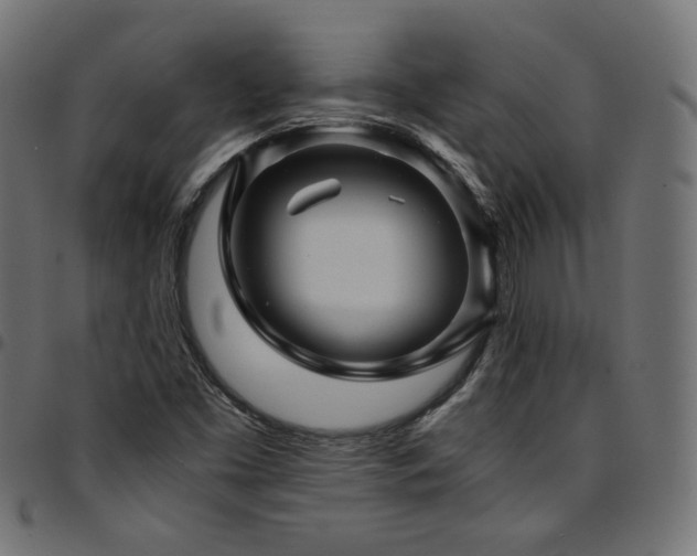 X0000095541453200712141514