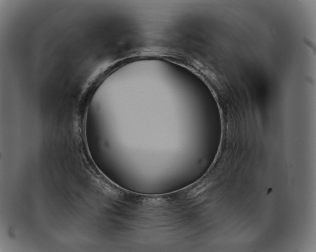 X0000095541454200712141514