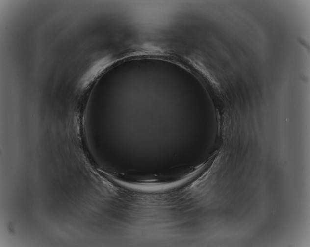 X0000095541455200712141513