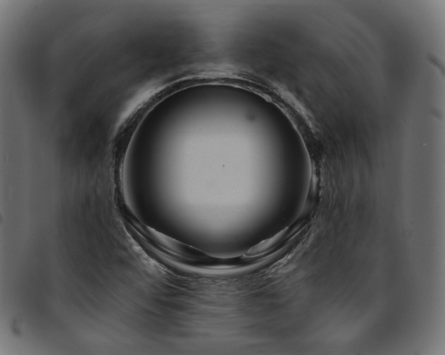 X0000095541456200712141513