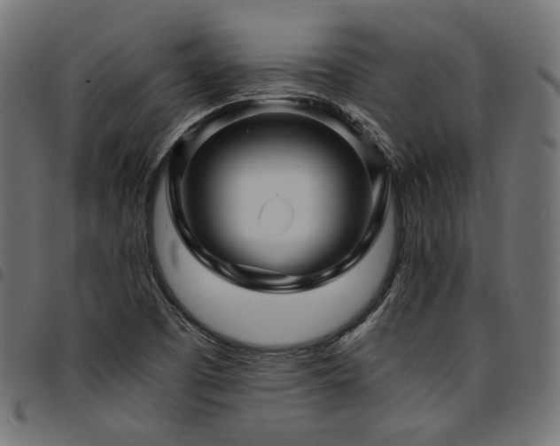 X0000095541457200712141513