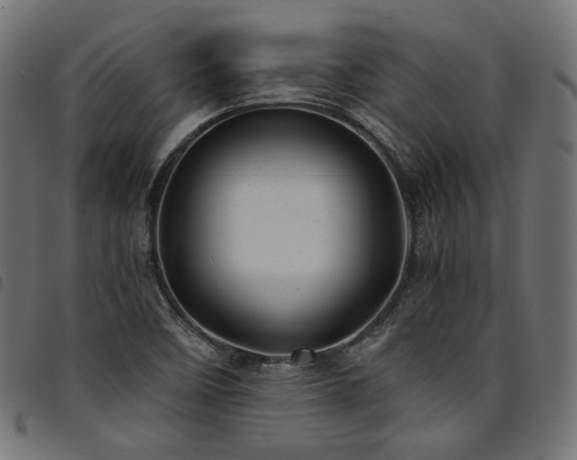 X0000095541458200712141513