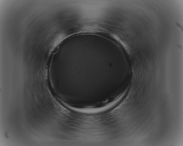 X0000095541459200712141513