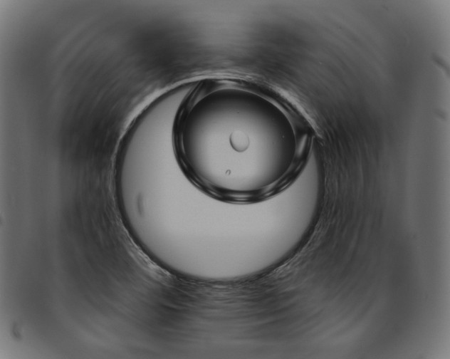 X0000095541460200712141513