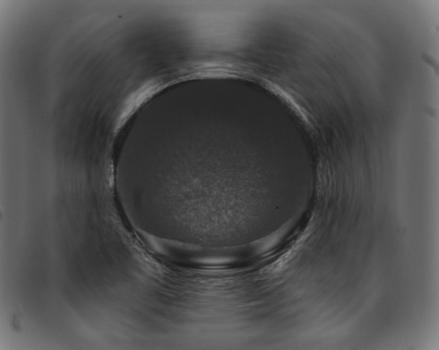 X0000095541461200712141513