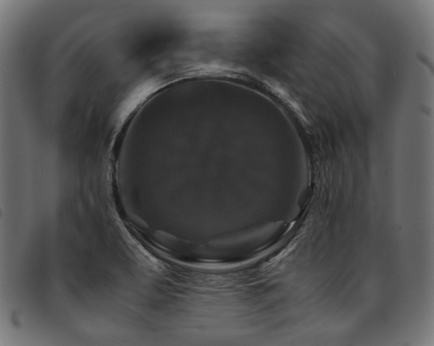 X0000095541463200712141513