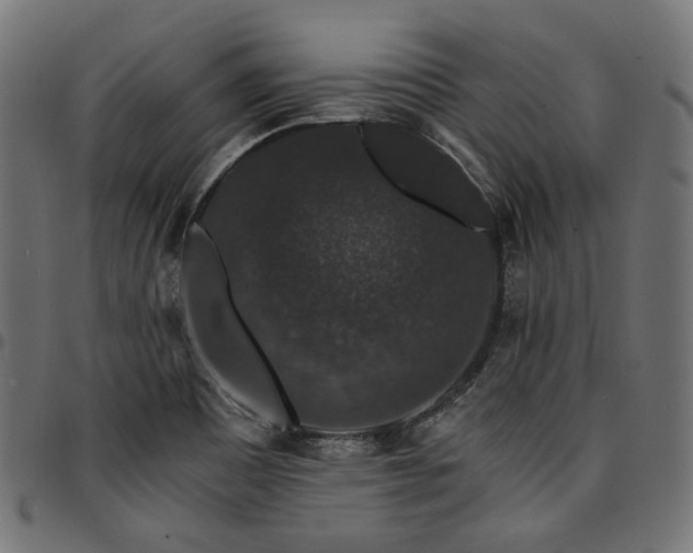 X0000095541465200712141513