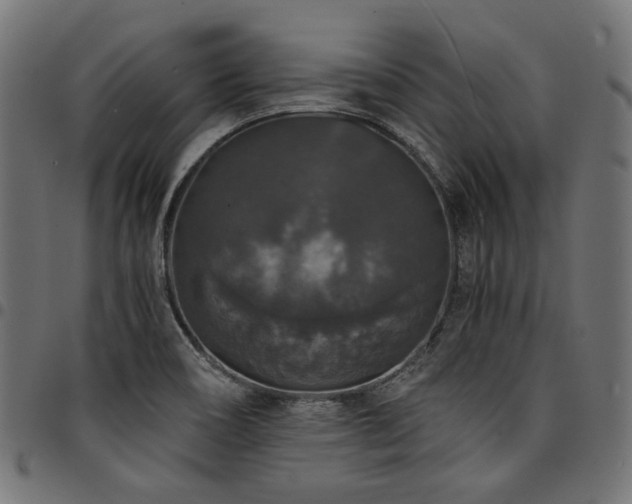 X0000095541466200712141513