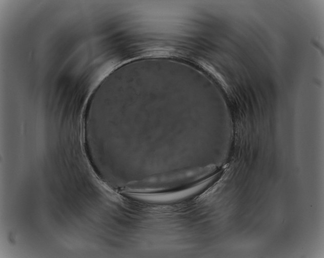 X0000095541467200712141513