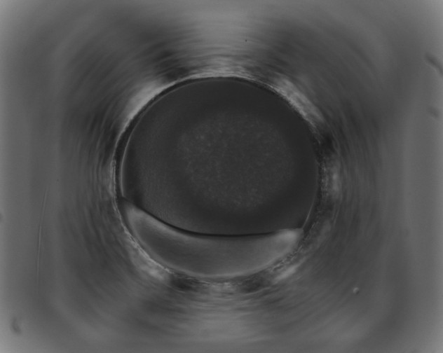 X0000095541468200712141513