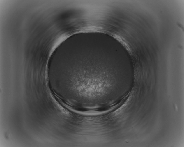 X0000095541469200712141513