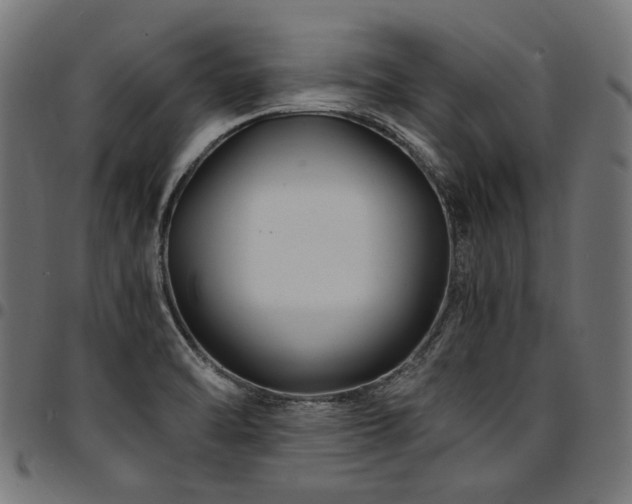 X0000095541470200712141513