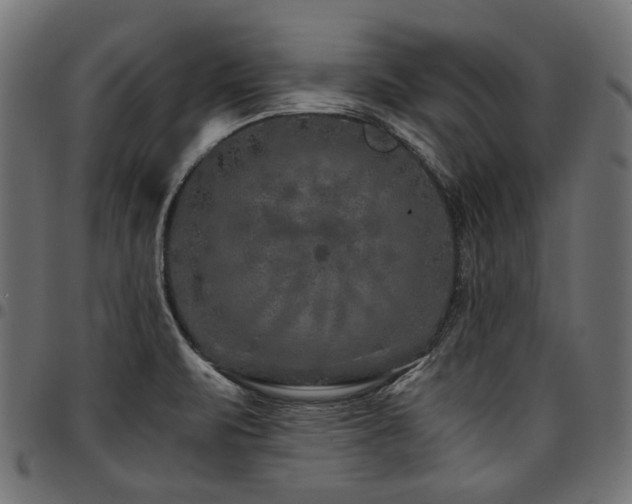 X0000095541471200712141513