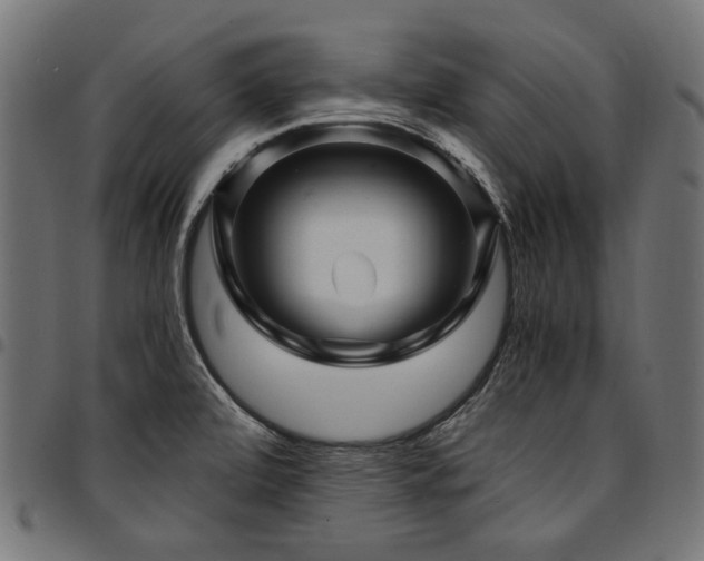X0000095541472200712141513