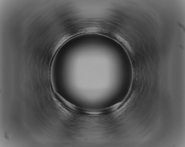 X0000095541473200712141513