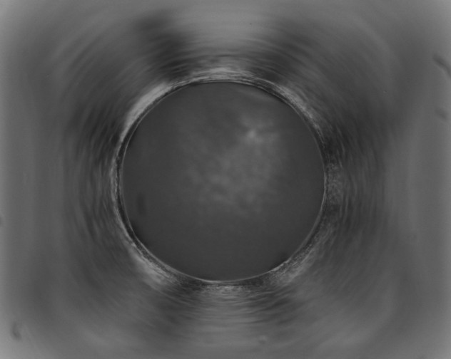 X0000095541474200712141513