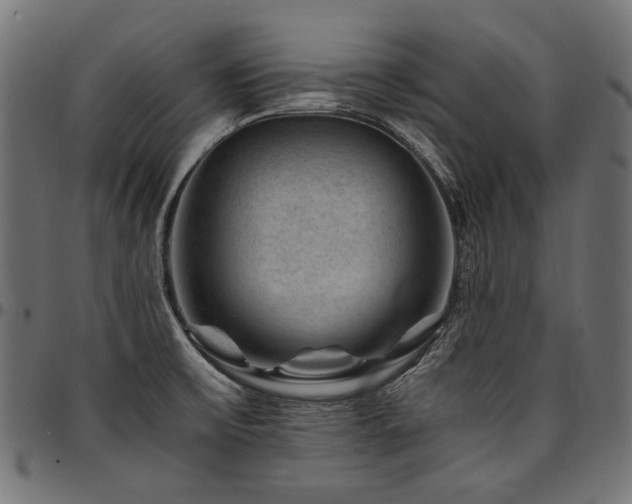 X0000095541475200712141513