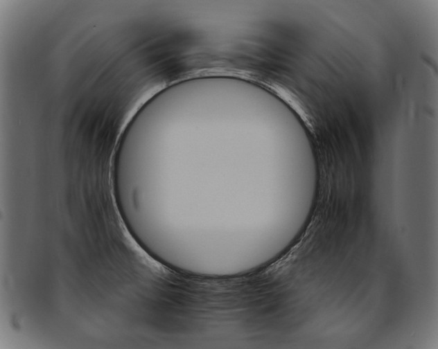 X0000095541476200712141513