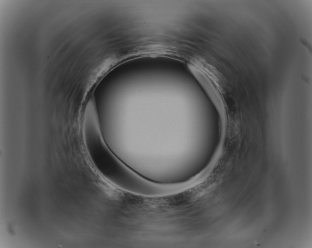 X0000095541477200712141513