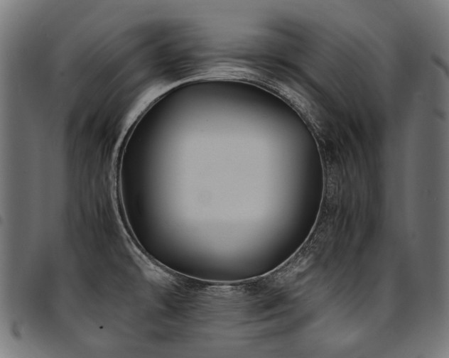 X0000095541478200712141513