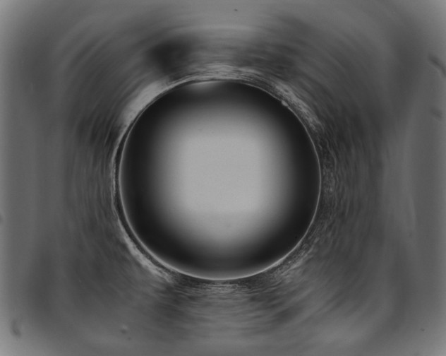 X0000095541479200712141513