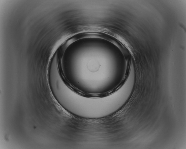 X0000095541480200712141513
