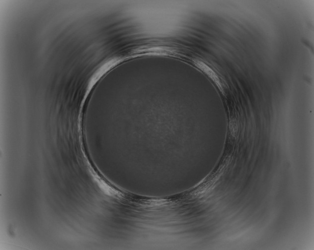 X0000095541482200712141513