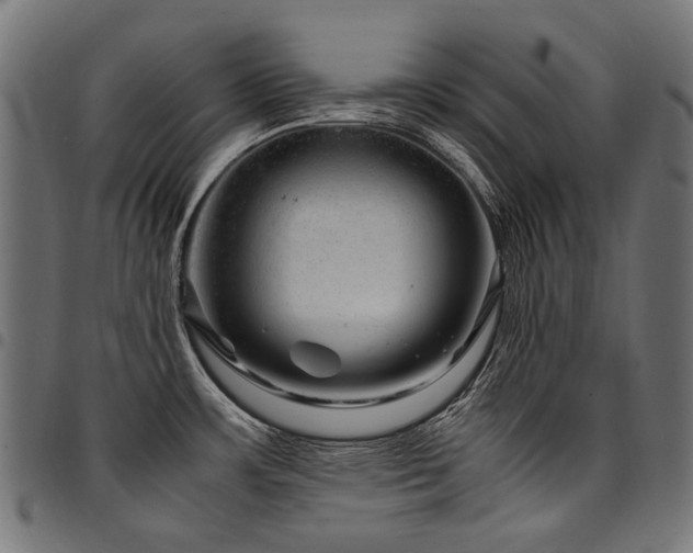 X0000095541483200712141513