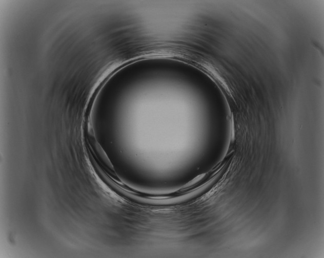 X0000095541484200712141513
