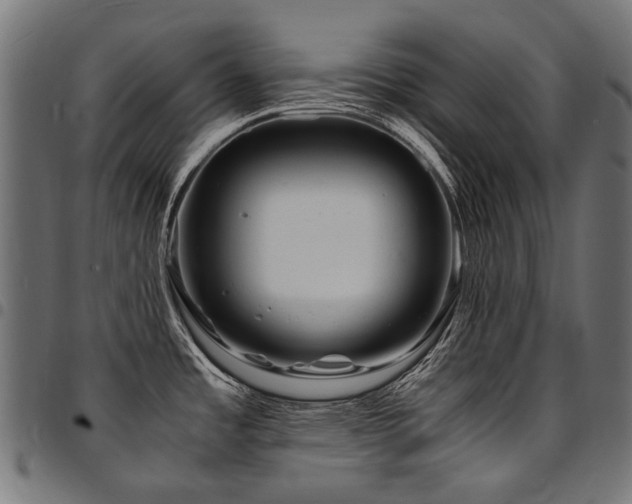 X0000095541485200712141513