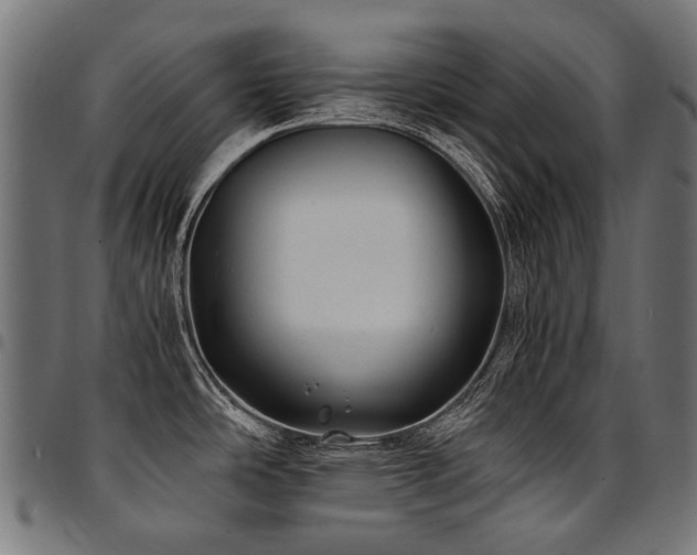 X0000095541486200712141513