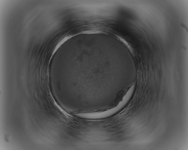 X0000095541487200712141513
