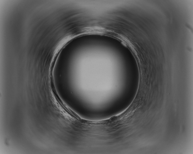 X0000095541488200712141513
