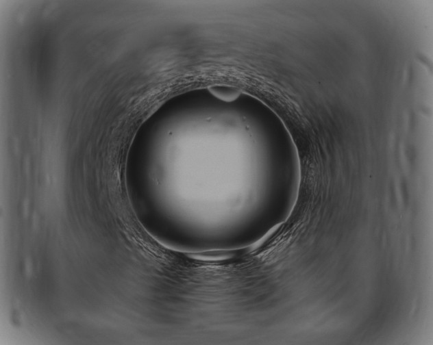 X0000095541489200712141512