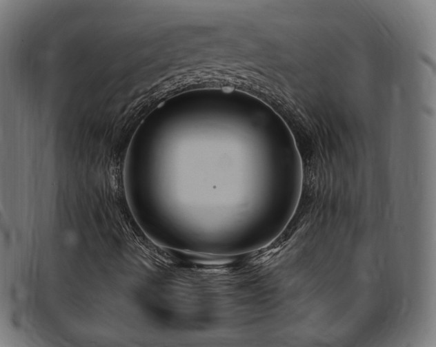 X0000095541490200712141512