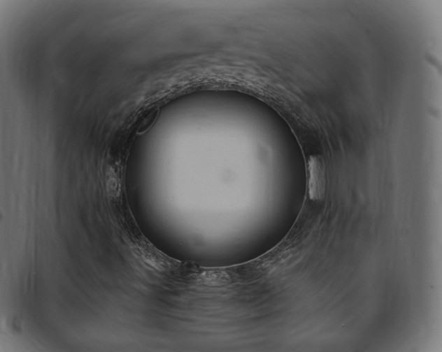 X0000095541491200712141512