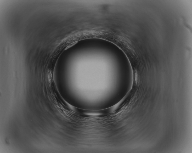 X0000095541492200712141512