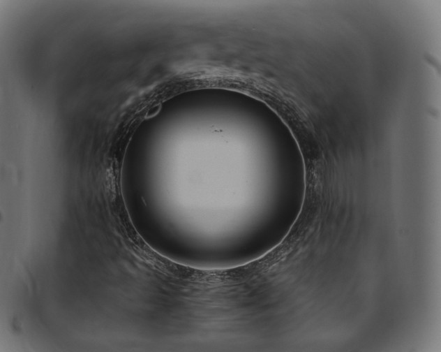 X0000095541493200712141512