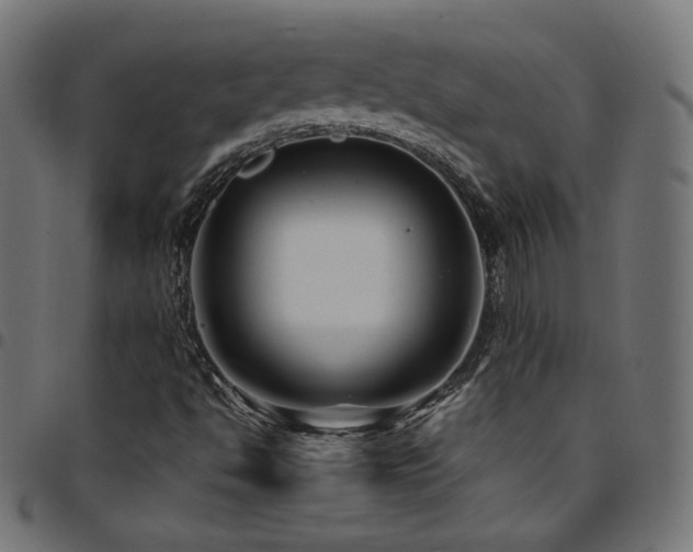 X0000095541494200712141512