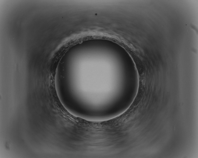 X0000095541495200712141512