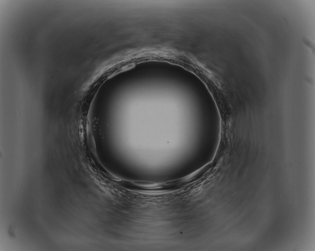 X0000095541496200712141512