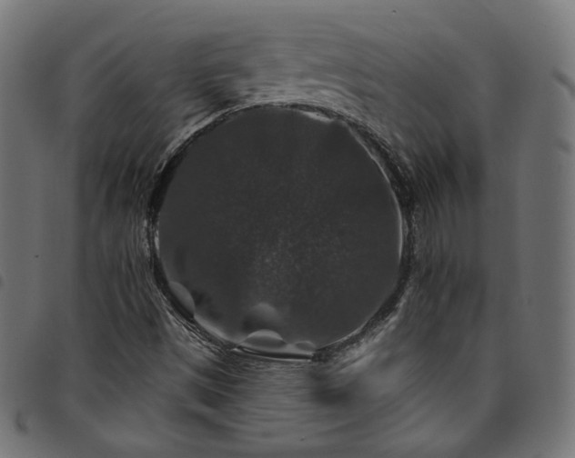 X0000095541497200712141513