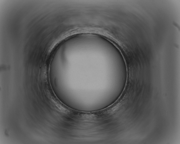 X0000095541498200712141513