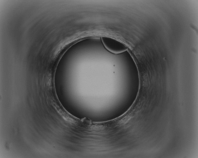 X0000095541499200712141513