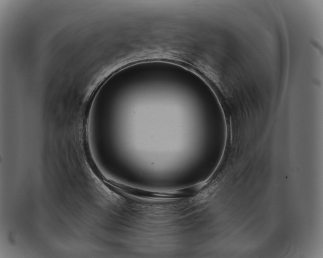 X0000095541500200712141513