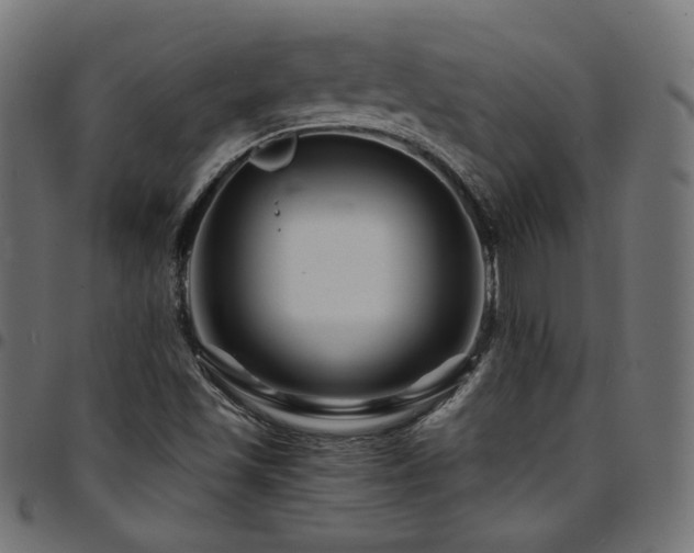 X0000095541501200712141513