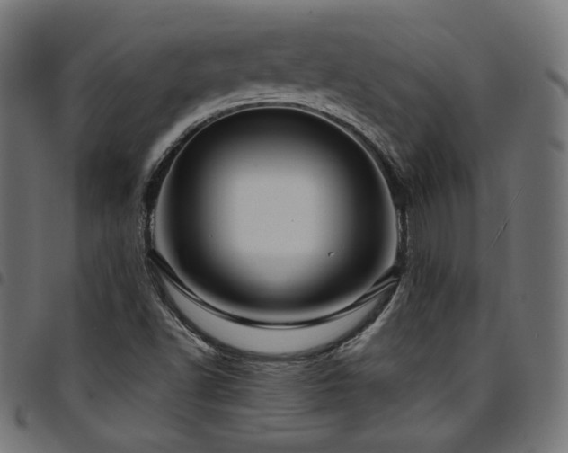 X0000095541502200712141513